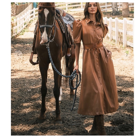 23 Soft Faux Leather Puff Short Sleeve Dress - Picture 2 of 7